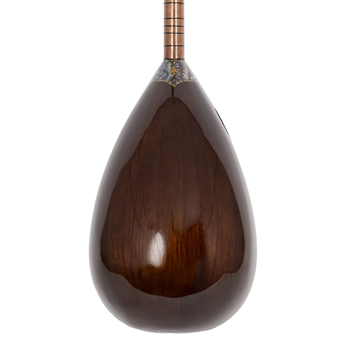 Ceviz Ağacı Gövde Kısa Sap Bağlama